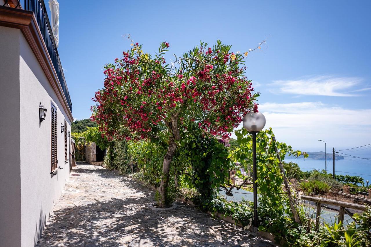 Casa Aniello Villa Caprioli Exteriör bild